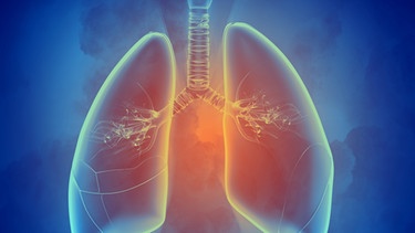 Symbolbild Lunge - Radon und Lungenkrebs | Bild: colourbox.com