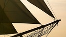 Symbolisch: Historische Segelschiffe | Bild: picture-alliance/dpa