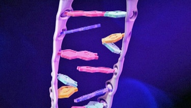 Defekter DNA-Strang | Bild: BR
