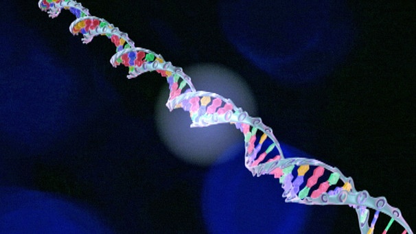 DNA-Doppelhelix | Bild: BR