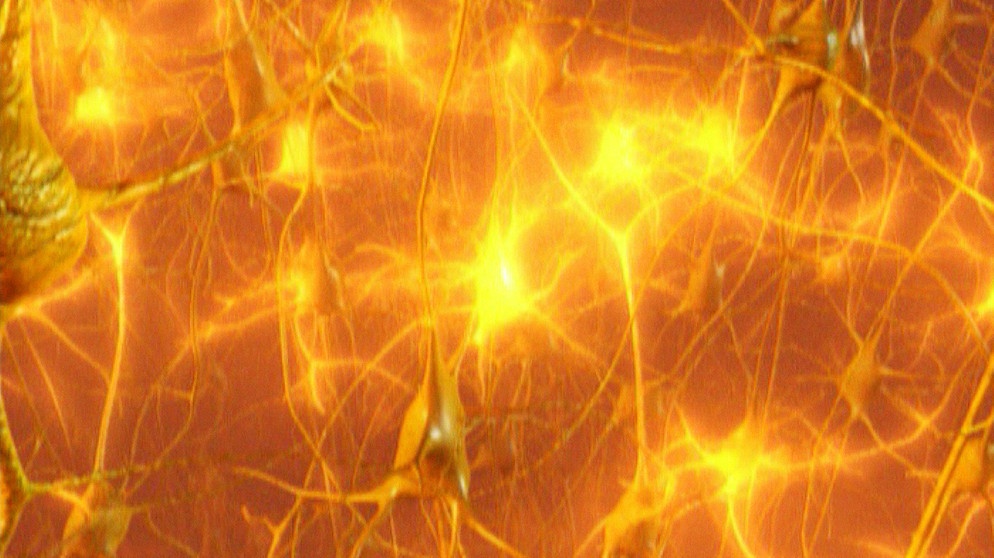 Miteinander verknüpfte Neuronen | Bild: BR