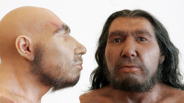 Neandertaler | Bild: picture-alliance/dpa