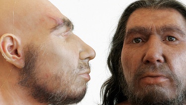 Neandertaler | Bild: picture-alliance/dpa