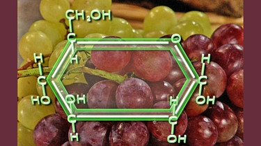 Weintrauben: Ihr Zucker ist ein Monosaccharid | Bild: BR