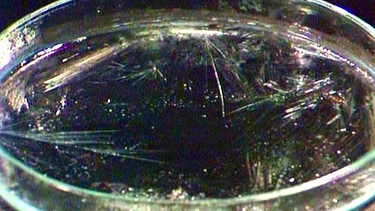 Bildung von Kristallen aus einer Salzlösung | Bild: BR