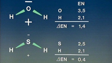 Unterschiedliche Elektronegativitätsdifferenz bei Wasser und Schwefelwasserstoff | Bild: BR