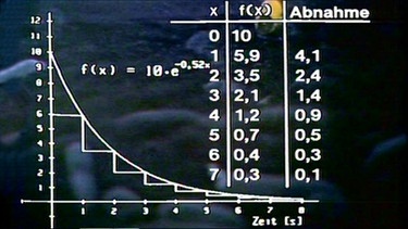 Auswertung der Exponentialfunktion | Bild: BR