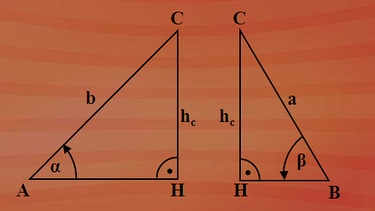 Aus dem allgemeinen Dreieck sind durch Teilung entlang der Höhe h zwei rechtwinklige geworden. | Bild: BR