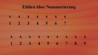  Die Zahlen vvon 1 bis 7, darüber immer ein x. | Bild: BR