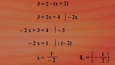 Grundkurs Mathematik: Bruchgleichungen | Bild: BR