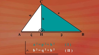 Dreieckshöhe / Hypotenusenabschnitte  | Bild: BR