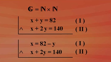 Grundkurs Mathematik: Das Einsetzverfahren | Bild: BR