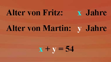 Grundkurs Mathematik: Gleichung mit zwei Unbekannten | Bild: BR