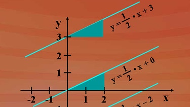 Grundkurs Mathematik: Lineare Funktionen | Bild: BR