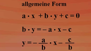 Grundkurs Mathematik: Normalform und allgemeine Form | Bild: BR