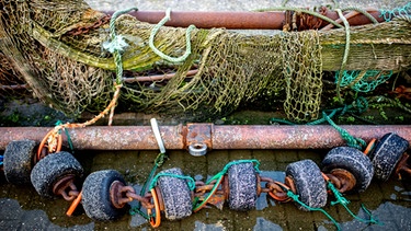 Ein Netz für den Fischfang liegt vor einem Fischkutter  | Bild: picture alliance/dpa | Hauke-Christian Dittrich