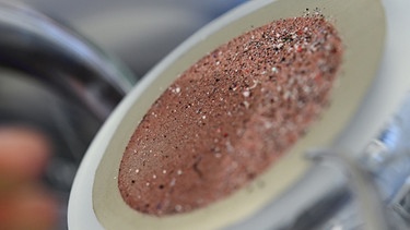 Mikroplastikpartikel haben sich nach der Filtration im Labor des Instituts für Umwelt- und Verfahrenstechnik an der Hochschule RheinMain auf einer Edelstahlmembran abgesetzt.  | Bild: picture-alliance/dpa / | Arne Dedert