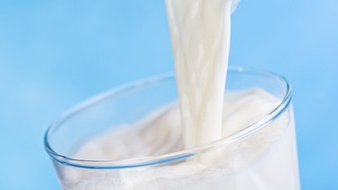 Milch wird in ein Glas gegossen. Jahrzehntelang wurde Kuhmilch gefeiert als Kalziumlieferant und Vitaminspender. Doch ihr schneeweißes Image hat die Milch inzwischen verloren. Ist Milch wirklich so gesund, wie immer behauptet wird? Inzwischen gibt es den Verdacht, dass Milch sogar Krebs verursachen könnte. | Bild: colourbox.com