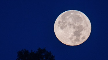 21.09.2021, Hessen, Wehrheim: Der Mond geht im Taunus in Hessen unter. Foto: Boris Roessler/dpa +++ dpa-Bildfunk +++ | Bild: dpa-Bildfunk/Boris Roessler