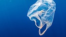 Eine Plastiktüte unter Wasser | Bild: stock.adobe.com/Richard Whitcombe - Similan Diving Safaris