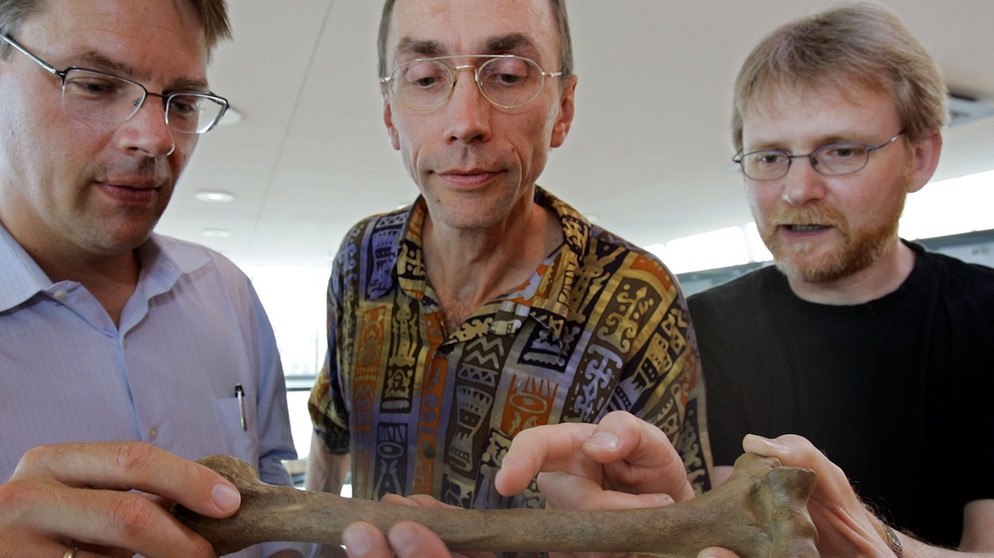 Svante Pääbo und zwei andere Wissenschaftler schauen auf den Knochen eines Neandertalers.  | Bild: picture-alliance/dpa