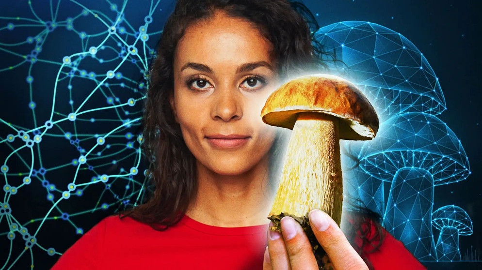 Dr. Florence Randrianarisoa mit einem Pilz | Bild: WDR