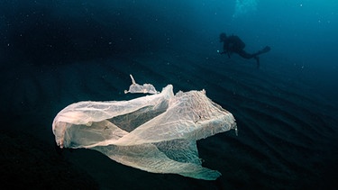 Müll im Meer | Bild: picture alliance / AA | Sebnem Coskun