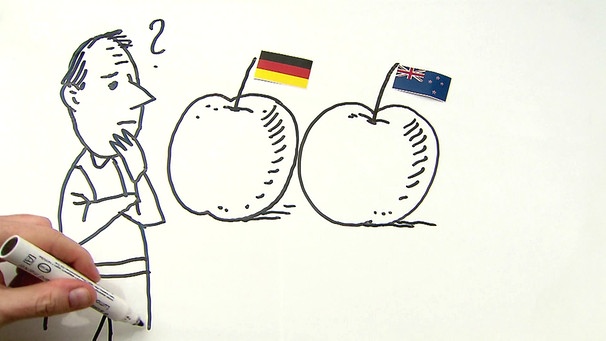 Lieber den regionalen Apfel oder doch den Import-Apfel aus Neuseeland? Was ist besser für's Klima? Wir machen den Faktencheck zum Klimawandel! | Bild: Bayerischer Rundfunk
