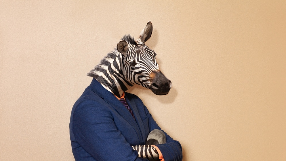 Ein Mann ist mit einem Zebrakopf abgebildet. Die Unterschiede und Gemeinsamkeiten zwischen Mensch und Tier sind auch Gegenstand der Forschung.   | Bild: colourbox.com