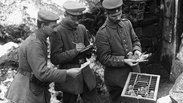 Tiere als Waffen: Brieftauben werden im Ersten Weltkrieg zum Nachrichten überbringen genutzt | Bild: picture-alliance/dpa