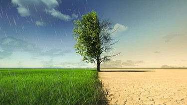 Kampf ums Wasser - welche Auswirkungen der Klimawandel hat. | Bild: IMAGO / Hans Blossey