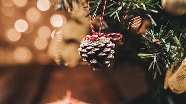 An einem Weihnachtsbaum aus Plastik hängt ein Tannenzapfen.  | Bild: picture-alliance/dpa