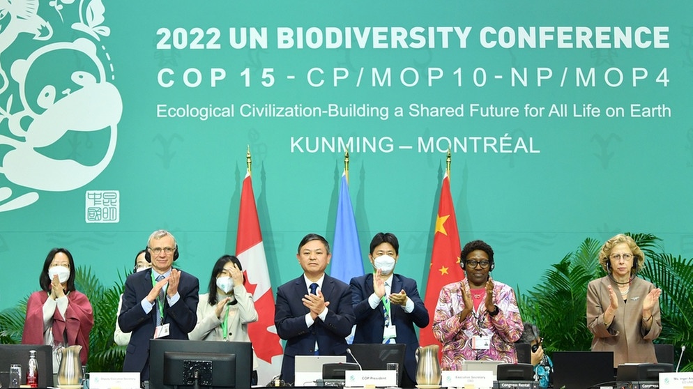 Die Teilnehmenden der Weltnaturschutzkonferenz in Montreal, Kanada, haben sich nach rund zwei Wochen Verhandlungen auf ein neues UN-Naturschutzabkommen geeinigt.  | Bild: dpa / Xinhua News Agency / Lian Yi