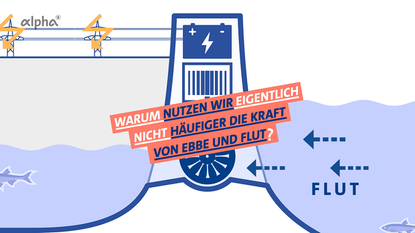 Grafik für gezeitenkraft mit dem Schriftzug: Warum nutzen wir eigentlich nicht häufiger die Kraft von Ebbe und Flut? | Bild: BR
