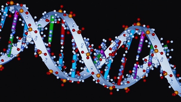 Illustration der Molekülstruktur der Desoxyribonukleinsäure (DNA) | Bild: picture-alliance / OKAPIA KG, Germany | Norbert Lange