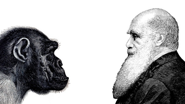 Charles Darwin beschrieb die Evolution, formulierte die Evolutionstheorie und erklärte, wie sich der Mensch entwickelt hat: Dass Mensch und Affe gemeinsame Vorfahren haben. | Bild: picture-alliance/dpa/imageBROKER/bilwissedition