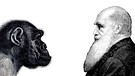 Charles Darwin beschrieb die Evolution, formulierte die Evolutionstheorie und erklärte, wie sich der Mensch entwickelt hat: Dass Mensch und Affe gemeinsame Vorfahren haben. | Bild: picture-alliance/dpa/imageBROKER/bilwissedition
