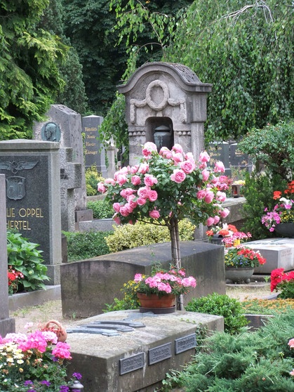 Johannis Friedhof | Bild: BR / Anja Bühling