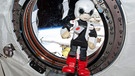 "Kirobo" war 2013 der erste Roboter auf der ISS. | Bild: EPA/2013 KIBO-ROBOT