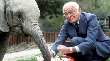 Bernhard Grzimek mit Elefant | Bild: picture-alliance/ dpa