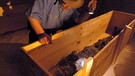 Der Ägyptologe  Dr. Zahi Hawass schaut in eine Holzkiste, in der sich eine Mumie befindet. Ab 2007 war klar, dass es sich bei der Mumie um Königin Hatschepsut handelt. | Bild: picture-alliance/dpa