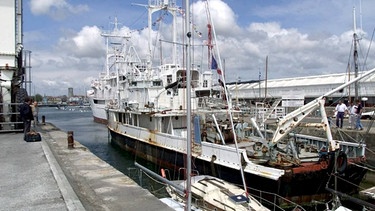 Jacques-Yves Cousteaus Forschungsschiff Calypso, Aufnahme vom 7. Oktober 2013 | Bild: picture alliance / dpa