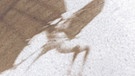 Reproduktion eines Fotos von Otto Lilienthal. Otto Lilienthal war einer der ersten erfolgreichen Flieger der Geschichte. Er beobachtete den Flug der Vögel, entdeckte das Prinzip der Tragfläche und baute Flugapparate. Der Pionier gilt als einer der Gründer der modernen Luftfahrt. | Bild: picture-alliance/dpa