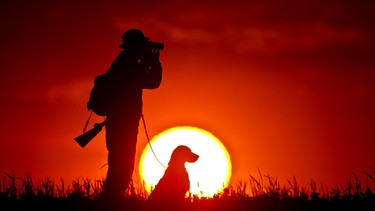 Jäger mit Hund im Sonnenuntergang | Bild: Patrick Pleul/dpa 