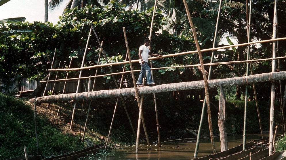 Mann balanciert über eine Brücke aus einem Baumstamm | Bild: picture-alliance/dpa