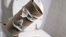 Verbrauchte Toilettenpapier-Rolle neben einer Toilette. | Bild: picture alliance/JOKER/Fotograf: Ralf Gerard