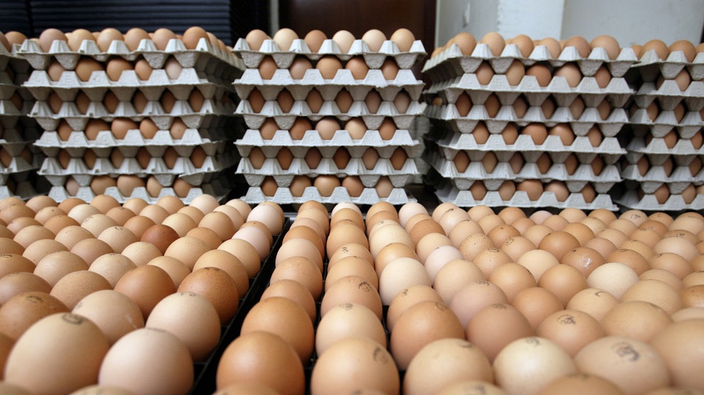 Paletten mit Eiern. Das Ei symbolisiert Leben und Auferstehung. Deshalb liegen zu Ostern Ostereier im Osternest. | Bild: colourbox.com