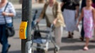 Fussgängerüberweg mit einem Signalgeber für Sehbehinderte | Bild: picture alliance / imageBROKER | Martin Moxter