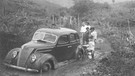 Auto auf Straße im Dschungel | Bild: Collections of Henry Ford, Macmillan