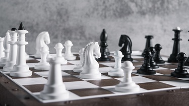 Schachfiguren stehen auf einem Schachbrett.  | Bild: picture-alliance/dpa
